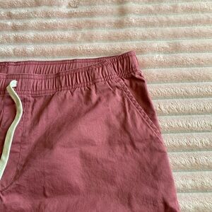 Goodfellow & Co Mauve Elastic Waist Shorts